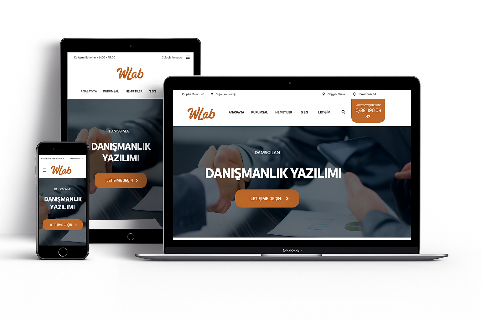 Danışmanlık Web Sitesi v1