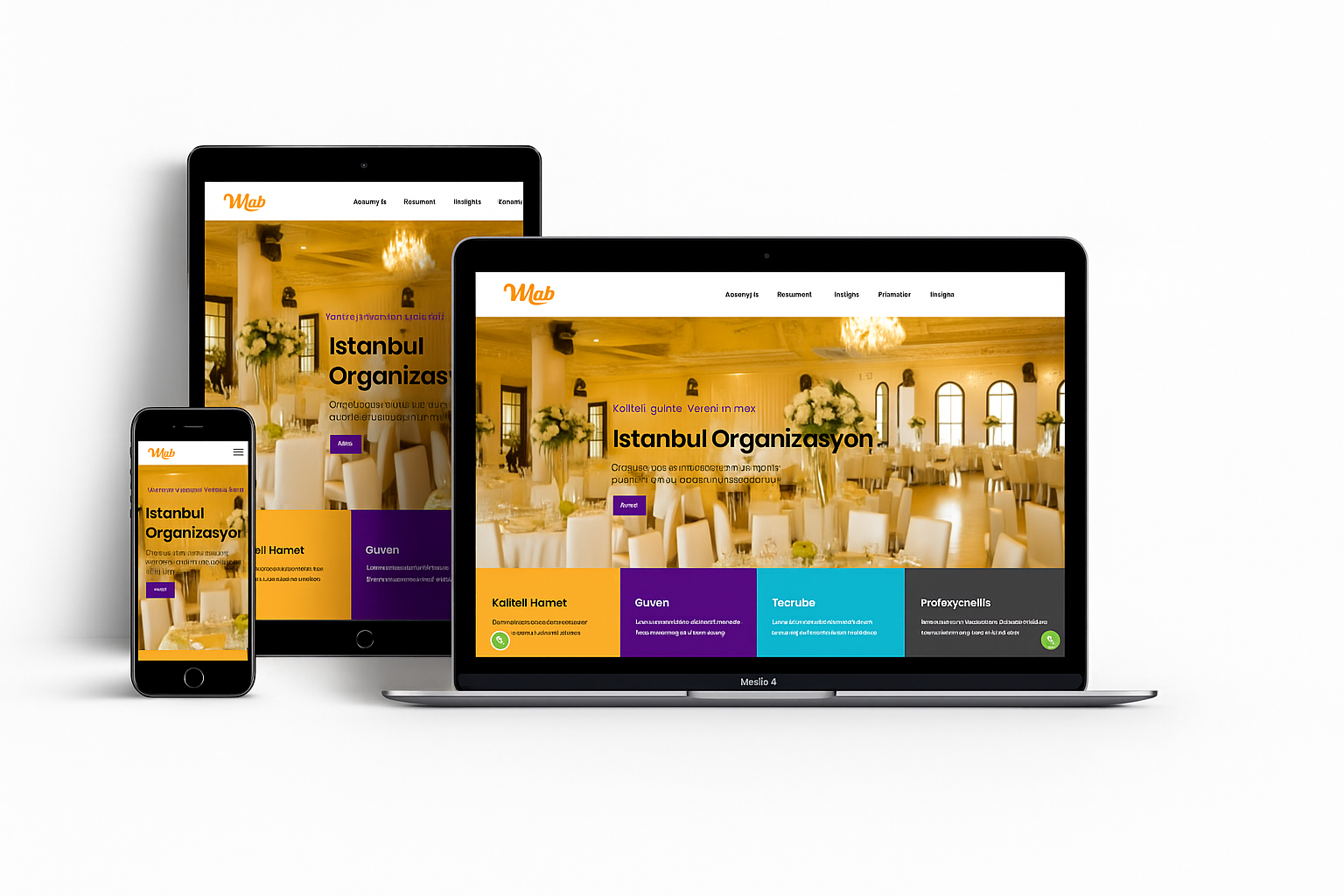 Organizasyon Web Sitesi v1